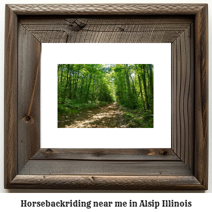 horseback riding near me in Alsip, Illinois